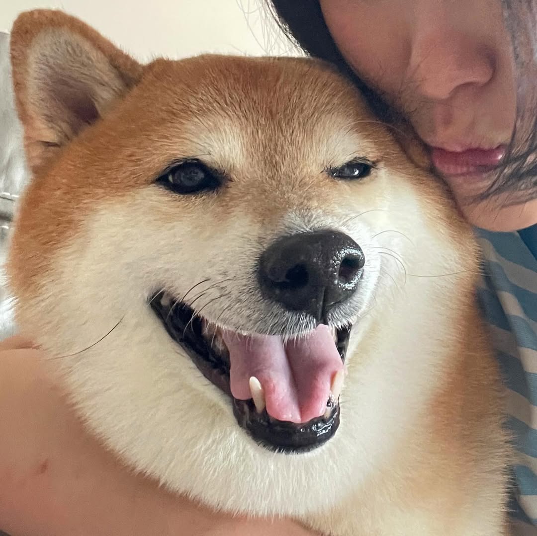 Happy Cheems